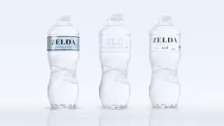 Zelda Smartweight Water Bottles.jpg