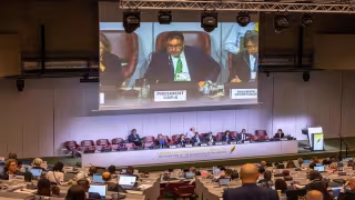 Global Dental Community Secures Balanced Transition in Mercury Phase-Out at COP6