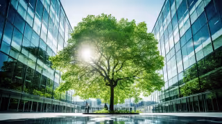 Ricoh Launches Sustainable A3 MFP Line to Support Circular Economy Goals