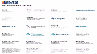 Six Cell Therapy Holdouts Double Down on CAR T and Autoimmune Plays as Big Pharma Retreats